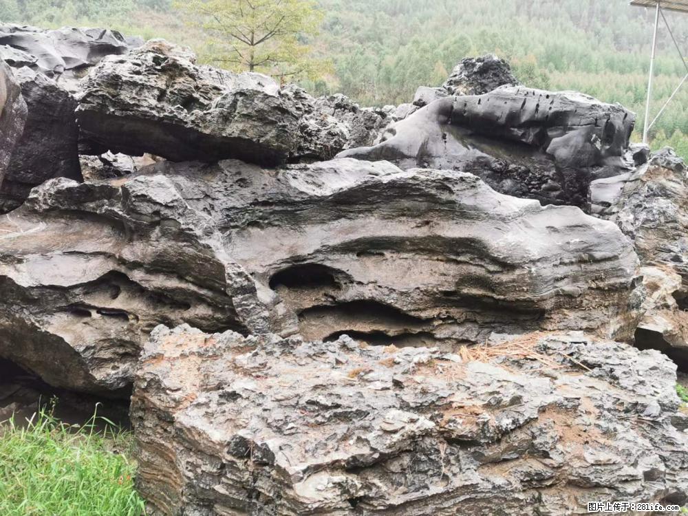 风景石、假山石大量有货，有需要的欢迎联系 - 新手上路 - 唐山生活社区 - 唐山28生活网 ts.28life.net