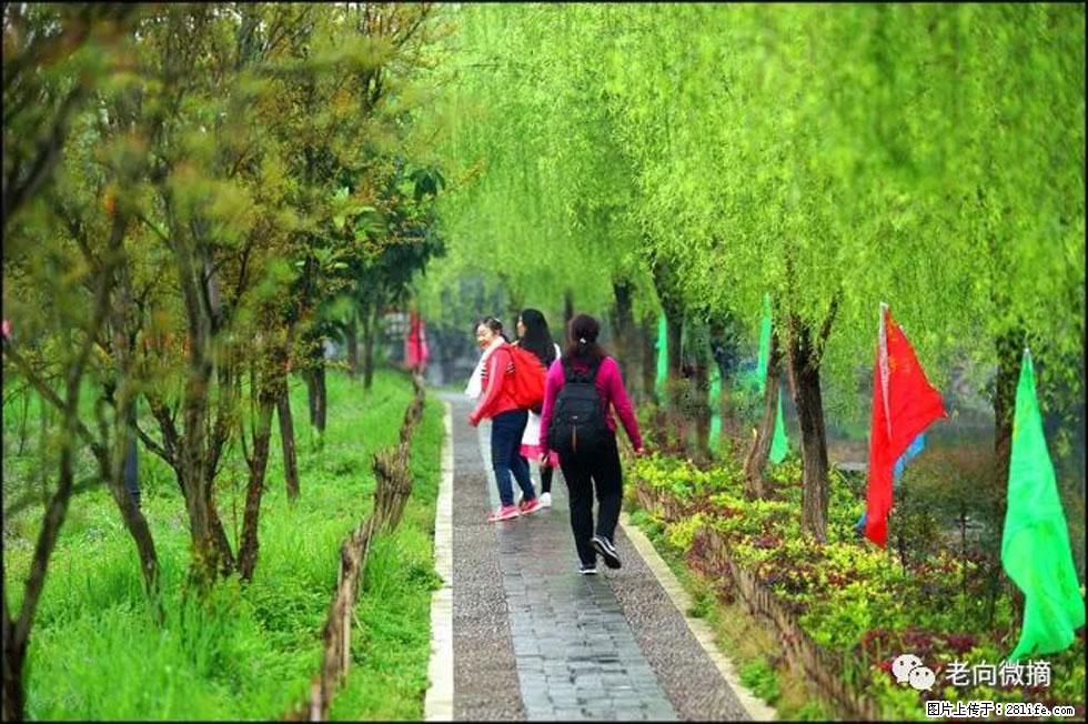 【春天，广西桂林灌阳县向您发出邀请！】江口老街又逢春 - 游山玩水 - 唐山生活社区 - 唐山28生活网 ts.28life.net