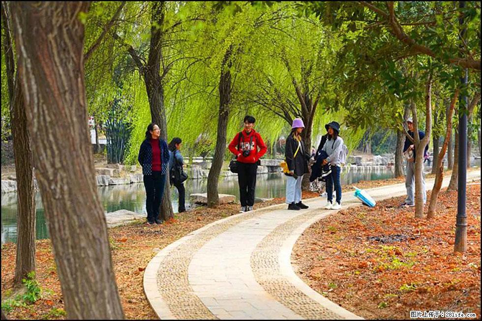【春天，广西桂林灌阳县向您发出邀请！】江口老街又逢春 - 游山玩水 - 唐山生活社区 - 唐山28生活网 ts.28life.net