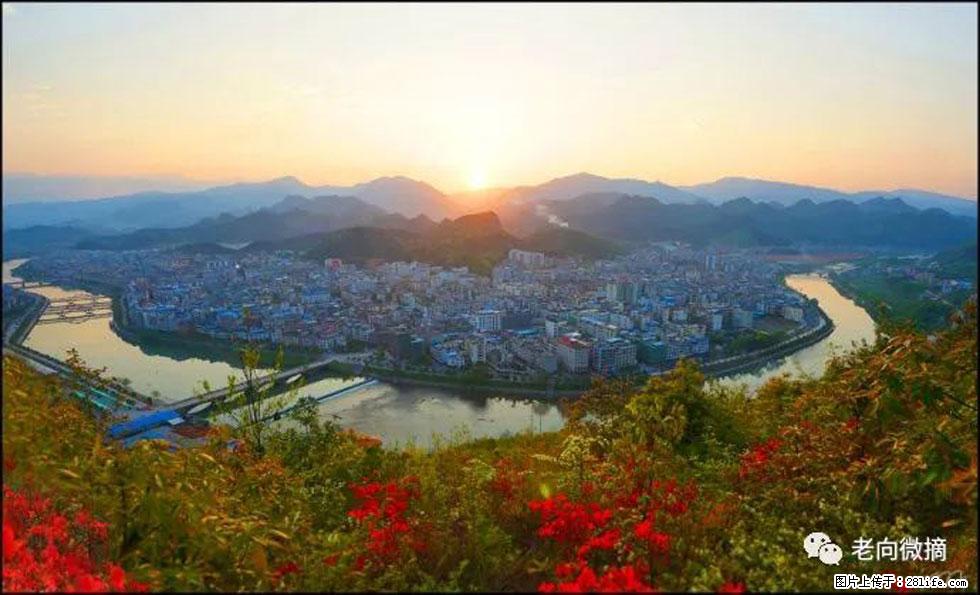 【春天，广西桂林灌阳县向您发出邀请！】登麒麟山，相约映山红 - 游山玩水 - 唐山生活社区 - 唐山28生活网 ts.28life.net