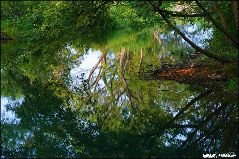 【春天，广西桂林灌阳县向您发出邀请！】熊家寨湿地公园 - 游山玩水 - 唐山生活社区 - 唐山28生活网 ts.28life.net