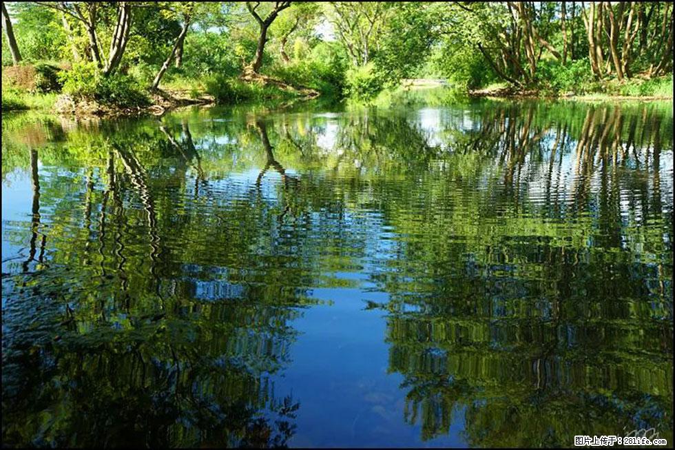 【春天，广西桂林灌阳县向您发出邀请！】熊家寨湿地公园 - 游山玩水 - 唐山生活社区 - 唐山28生活网 ts.28life.net