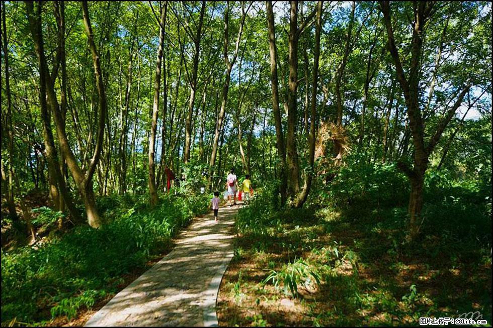 【春天，广西桂林灌阳县向您发出邀请！】熊家寨湿地公园 - 游山玩水 - 唐山生活社区 - 唐山28生活网 ts.28life.net