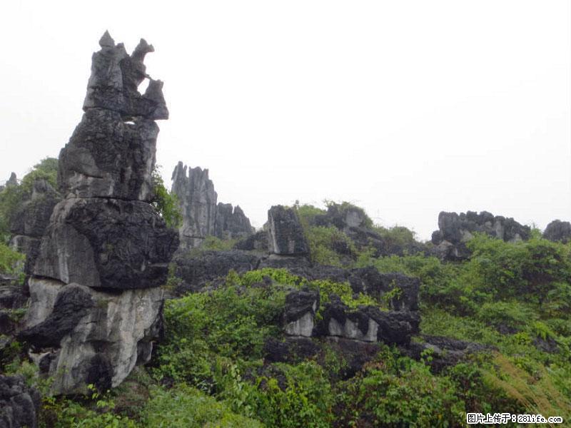 桂林旅游名城景点：灌阳文市石林 - 游山玩水 - 唐山生活社区 - 唐山28生活网 ts.28life.net