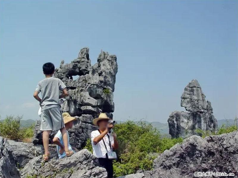 桂林旅游名城景点：灌阳文市石林 - 游山玩水 - 唐山生活社区 - 唐山28生活网 ts.28life.net