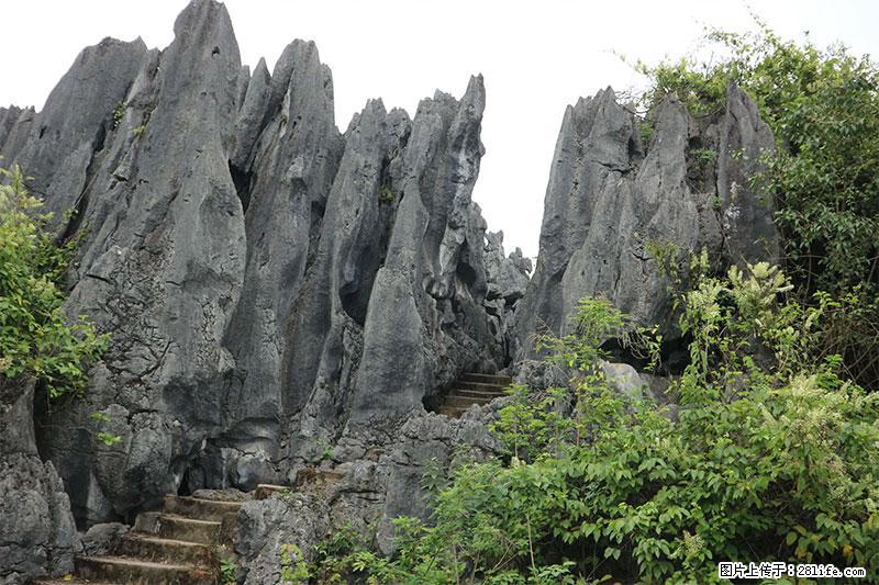 桂林旅游名城景点：灌阳文市石林 - 游山玩水 - 唐山生活社区 - 唐山28生活网 ts.28life.net