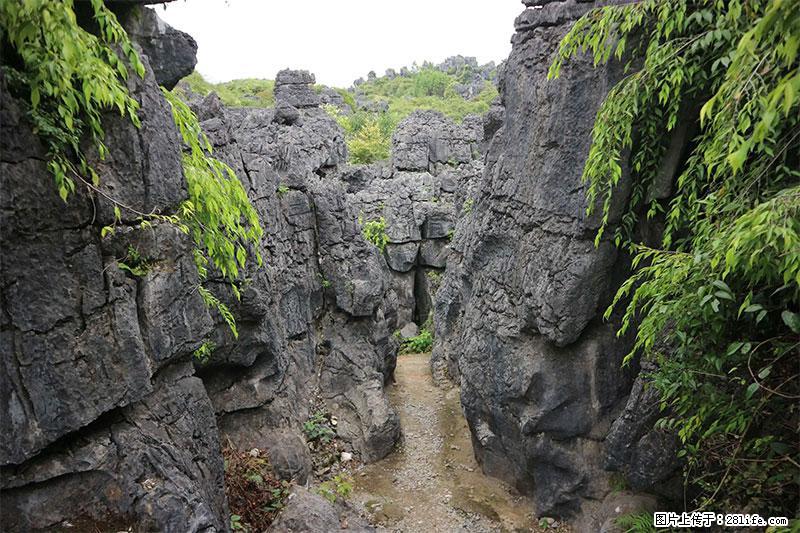桂林旅游名城景点：灌阳文市石林 - 游山玩水 - 唐山生活社区 - 唐山28生活网 ts.28life.net