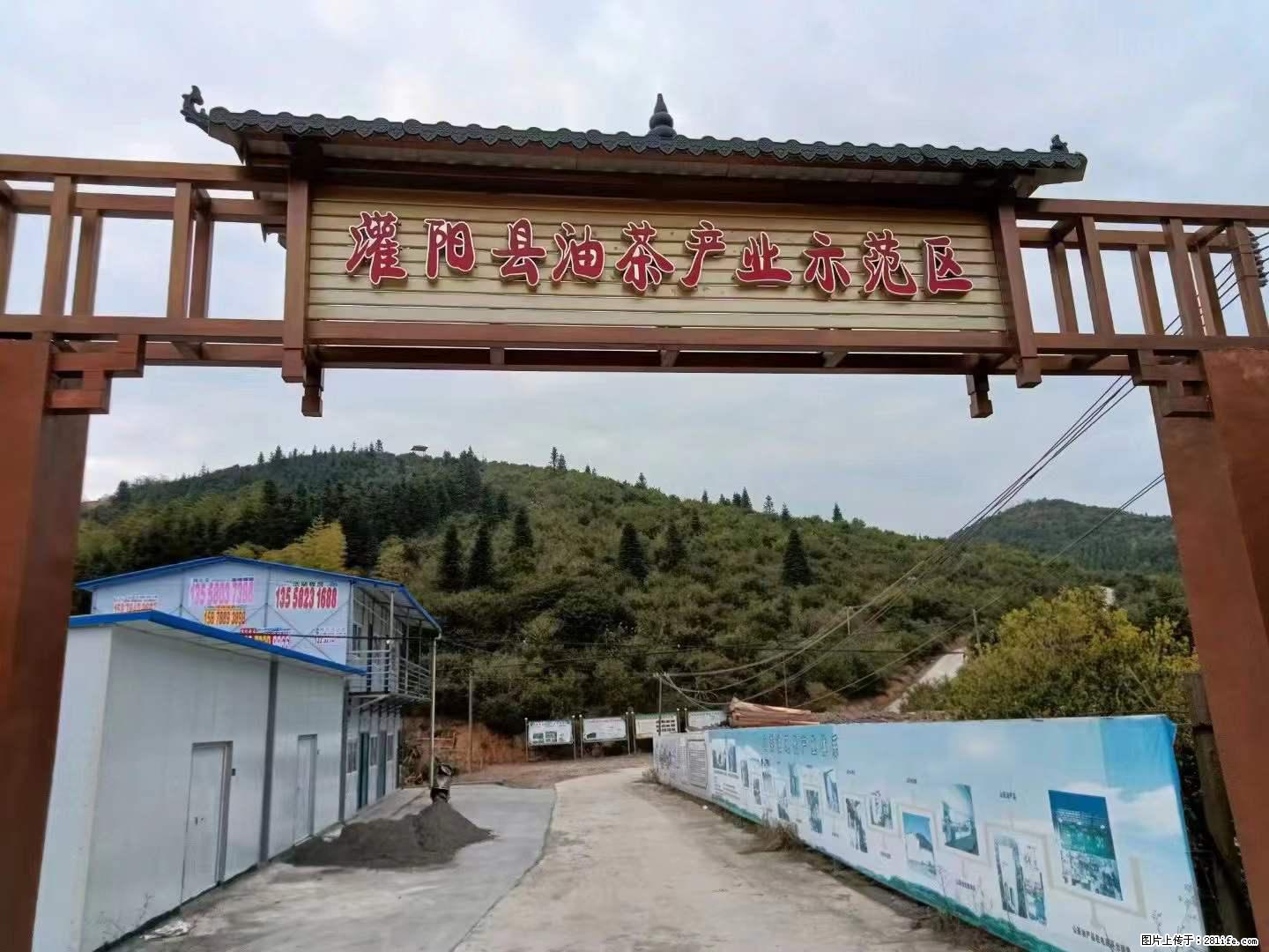 【灌阳县油茶产业示范区】一个有着充实的精神生活的人,对待身外之物自会有一种淡泊的态度 - 美食天地 - 唐山生活社区 - 唐山28生活网 ts.28life.net