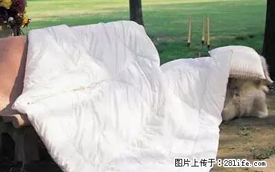 被子有异味？只要这样做，比晒太阳还强100倍！ - 家居生活 - 唐山生活社区 - 唐山28生活网 ts.28life.net