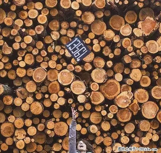 辞掉工作周游世界？现在他们在洗厕所…… - 游山玩水 - 唐山生活社区 - 唐山28生活网 ts.28life.net