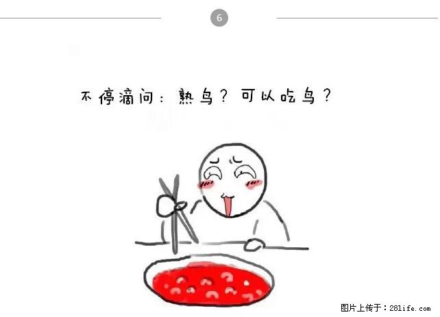 千万不要和这9种哈卵一起吃火锅！ - 美食天地 - 唐山生活社区 - 唐山28生活网 ts.28life.net