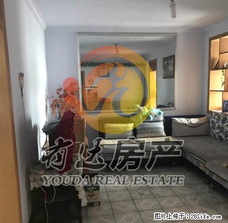 新兴楼的房子，半年付，温馨小屋，拎包入住！ - 房屋出租 - 房屋租售 - 唐山分类信息 - 唐山28生活网 ts.28life.net
