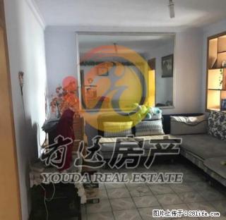 新兴楼的房子，半年付，温馨小屋，拎包入住！ - 唐山28生活网 ts.28life.net