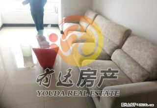 百合苑 家电齐全 干净整洁 800一个月 拎包入住！ - 唐山28生活网 ts.28life.net