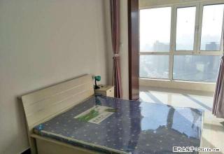 远洋城 花卉市场 正东大厦精装2室 家电齐全 你比房主先住 - 唐山28生活网 ts.28life.net