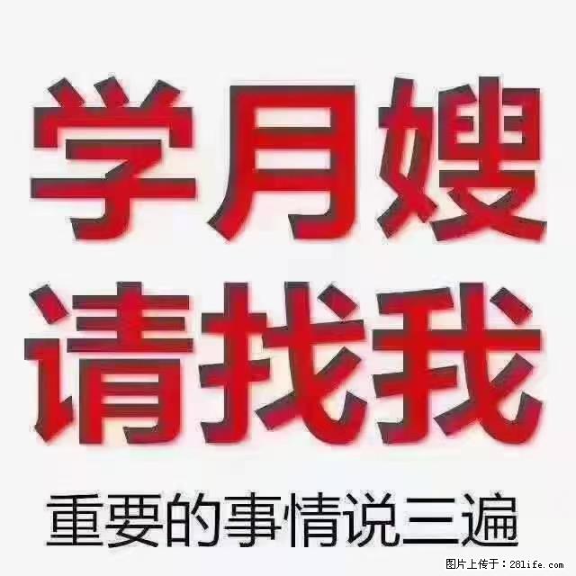 【招聘】月嫂，上海徐汇区 - 职场交流 - 唐山生活社区 - 唐山28生活网 ts.28life.net