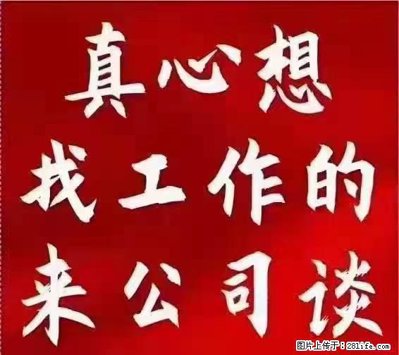 【上海】国企,医院招两名男保安,55岁以下,身高1.7米以上,无犯罪记录不良嗜好 - 职场交流 - 唐山生活社区 - 唐山28生活网 ts.28life.net