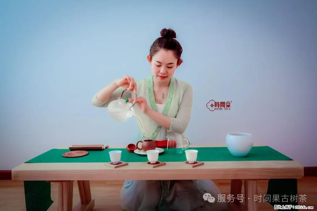 时间果百年古树龙珠普洱生茶 - 购物交流 - 唐山生活社区 - 唐山28生活网 ts.28life.net