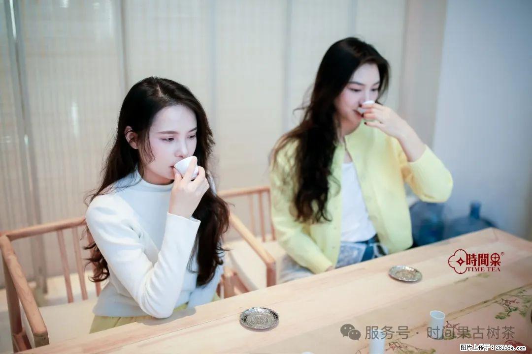 时间果百年古树龙珠普洱生茶 - 购物交流 - 唐山生活社区 - 唐山28生活网 ts.28life.net