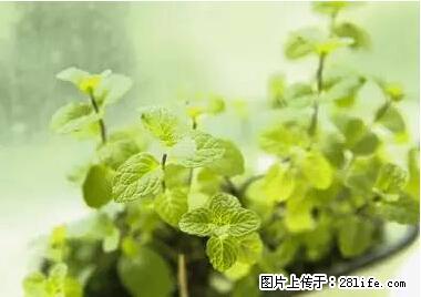 晕车、脚气、牙齿变黄、皮肤粗糙？学会这些三分钟搞定！ - 唐山生活资讯 - 唐山28生活网 ts.28life.net