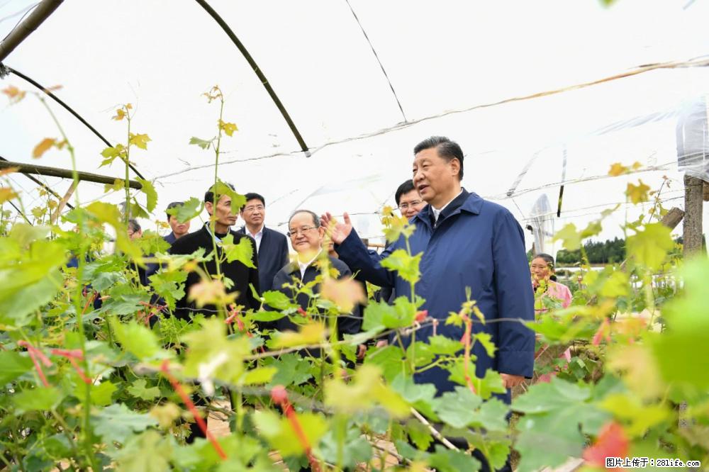 习近平赴广西考察调研 - 唐山生活资讯 - 唐山28生活网 ts.28life.net