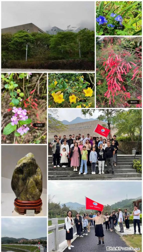 “粤灌文化 美好生活”油茶文化主题活动在广东深圳成功举办 - 唐山生活资讯 - 唐山28生活网 ts.28life.net