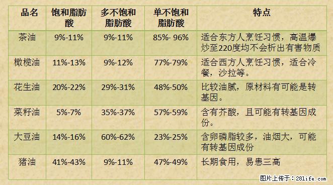 揭秘茶油的5大核心营养成分！被称为人体健康的“守护盾”！ - 唐山生活资讯 - 唐山28生活网 ts.28life.net