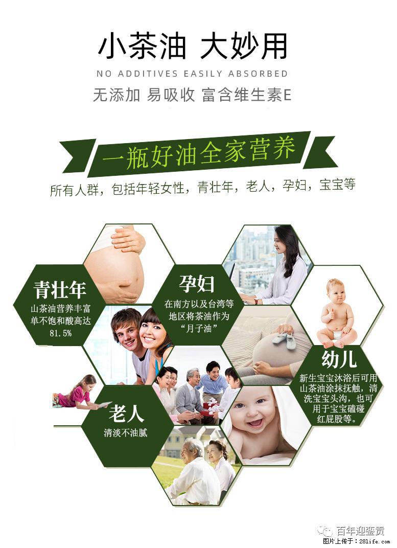 世界没有真相，只有认知，最好的食用油是中国的山茶油！ - 唐山生活资讯 - 唐山28生活网 ts.28life.net