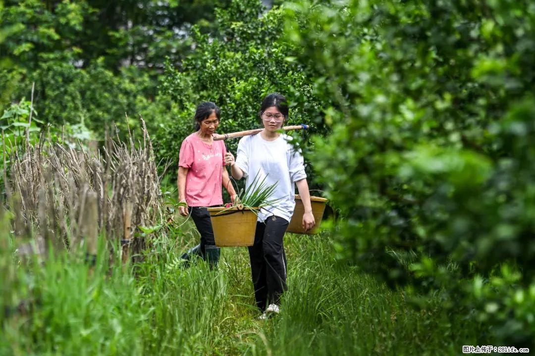 全网追的“扁担女孩”，找了一份暑假工，时薪12元 - 唐山生活资讯 - 唐山28生活网 ts.28life.net