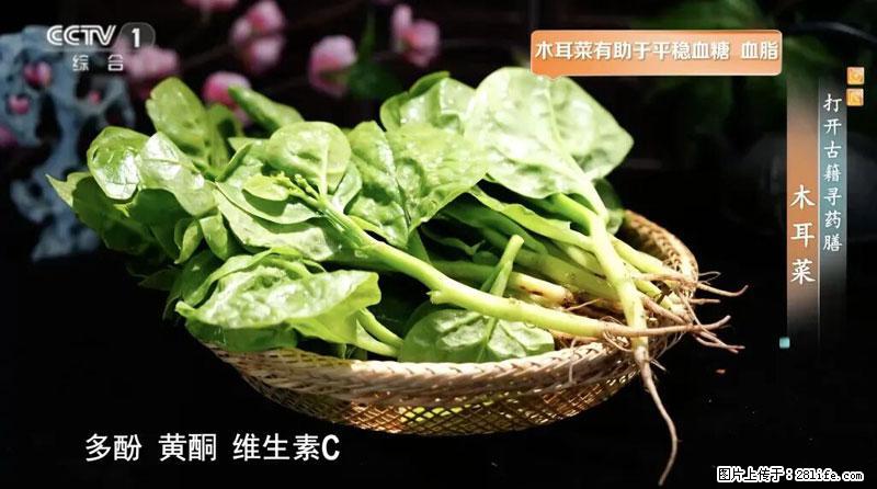 比牛奶补钙还厉害！凉血解毒、稳血糖...这菜冬天必吃，很多人却当草 - 唐山生活资讯 - 唐山28生活网 ts.28life.net
