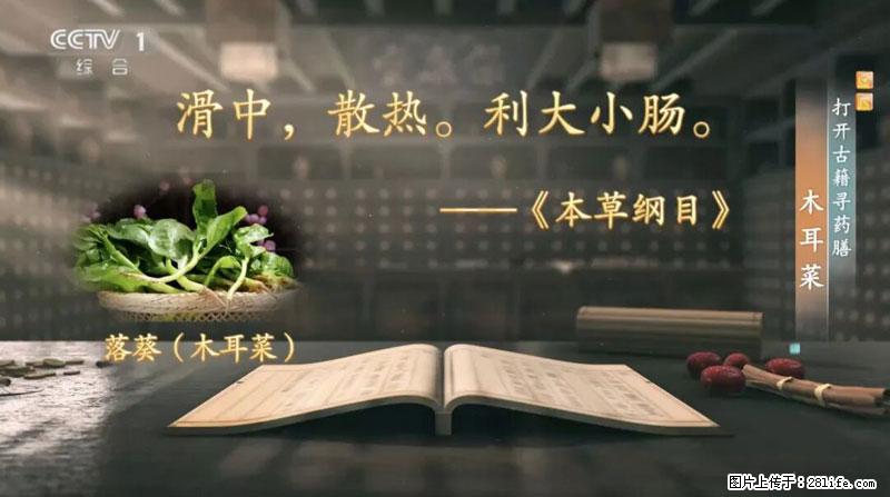 比牛奶补钙还厉害！凉血解毒、稳血糖...这菜冬天必吃，很多人却当草 - 唐山生活资讯 - 唐山28生活网 ts.28life.net