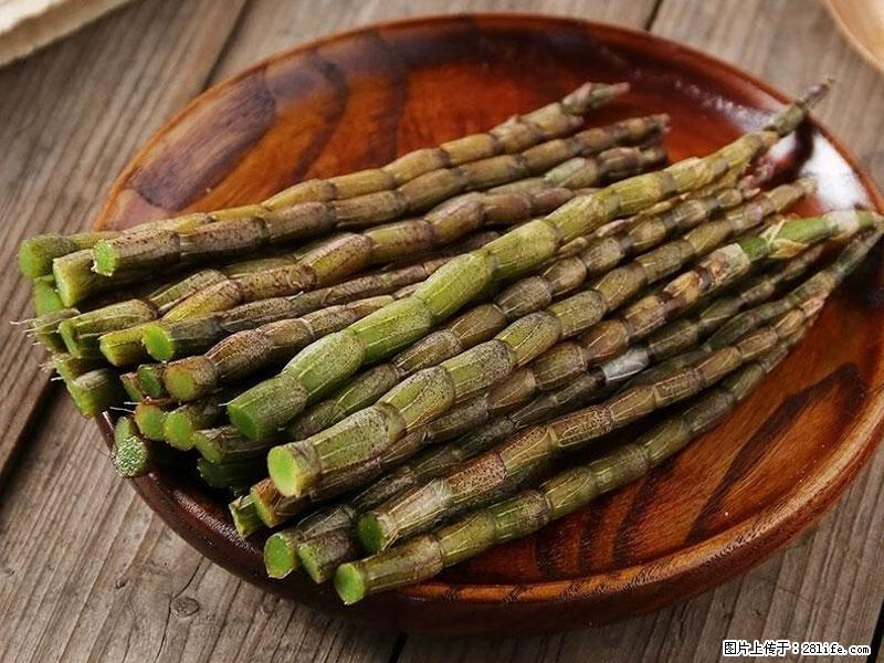 铁皮石斛的作用与功能主治 - 唐山生活资讯 - 唐山28生活网 ts.28life.net