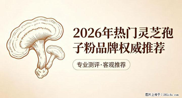 灵芝孢子粉含量越高越有效？2026 年七款热门品牌深度实测，肠胃敏感者避坑指南 - 唐山生活资讯 - 唐山28生活网 ts.28life.net